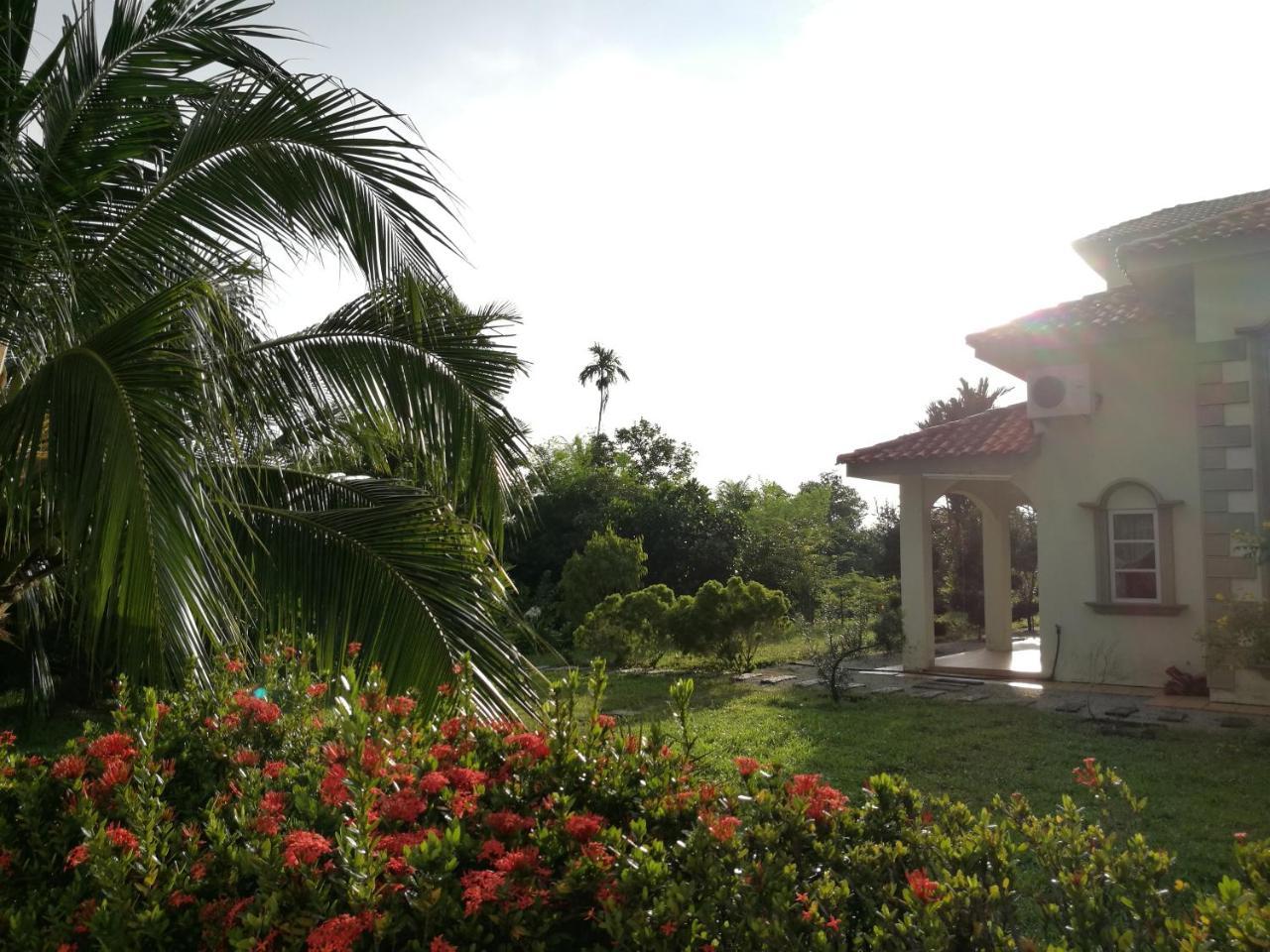 Guesthouse Dragon Place Taiping Eksteriør billede